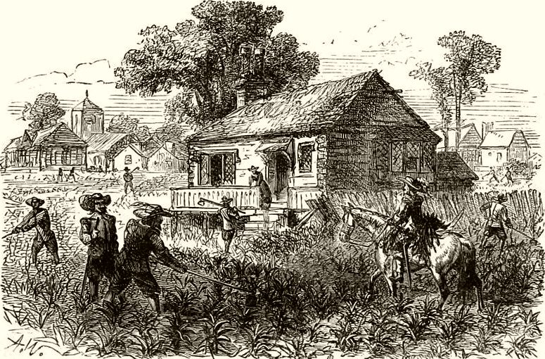 17th Century Virginia tobacco plantation